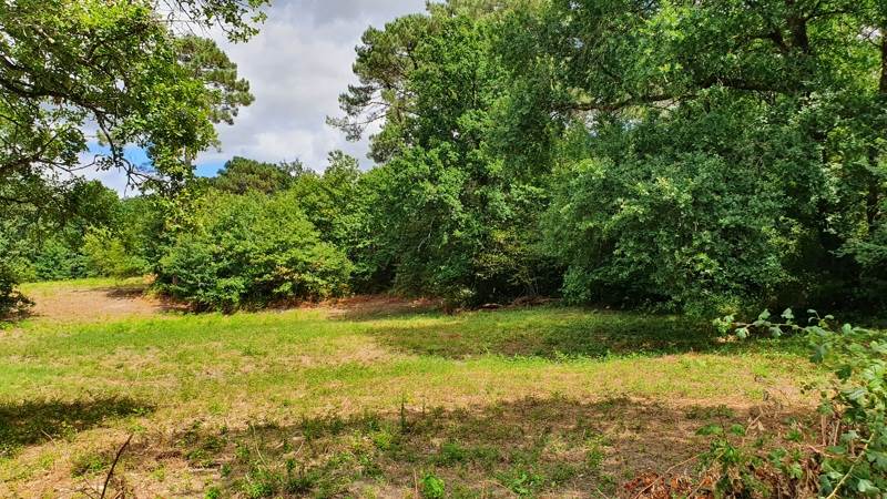 Vente Terrain Saint Privat en Périgord - -1650 m² - (24410)