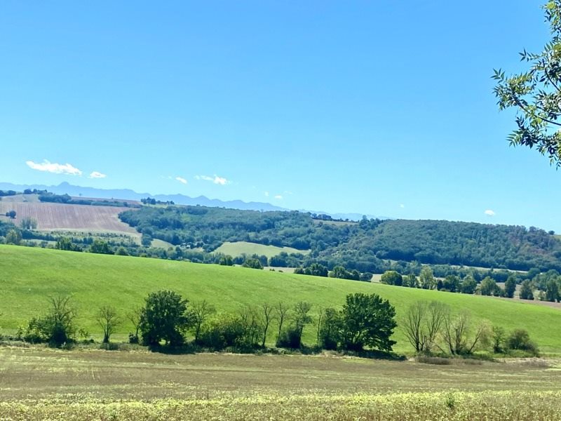 Terrain à bâtir à vendre · à Saint-Léon · 99 901 €