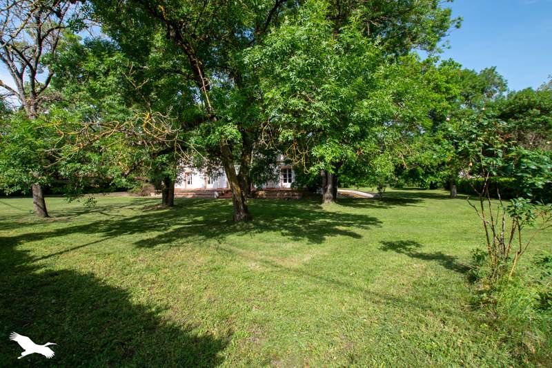 Vente Maison MURET - 11 pièces -345 m² - (31600)