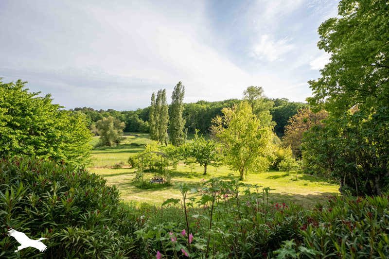 Vente Maison ST ROMAIN - 8 pièces -330 m² - (16210)
