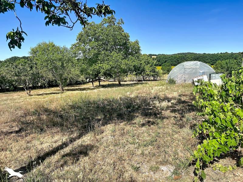 Vente Maison BRIE SOUS CHALAIS - 5 pièces -138 m² - (16210)