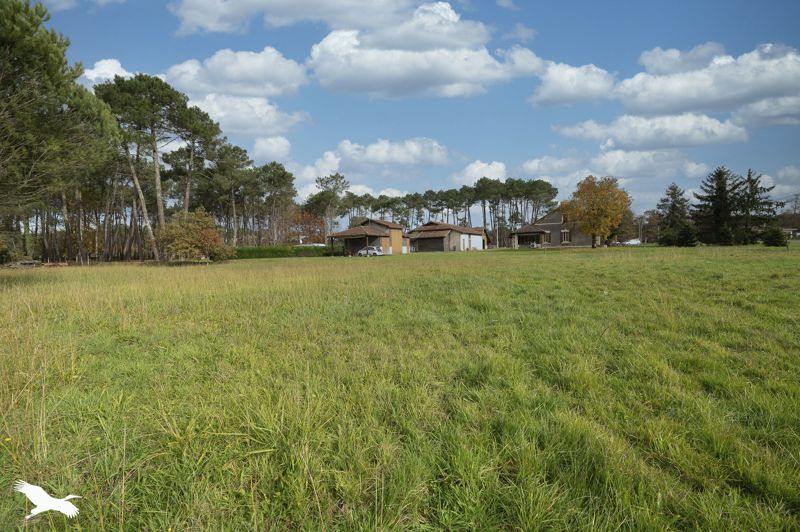 Vente Maison ST JULIEN EN BORN - 6 pièces -166 m² - (40170)