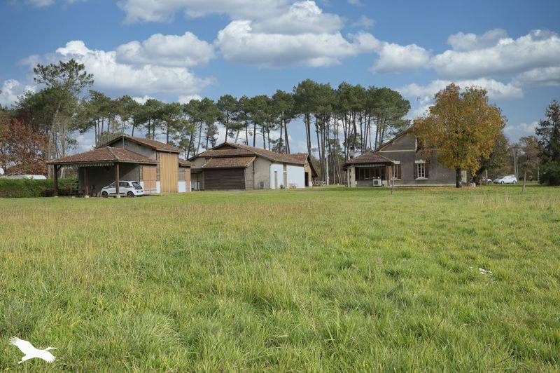 Vente Maison ST JULIEN EN BORN - 6 pièces -166 m² - (40170)