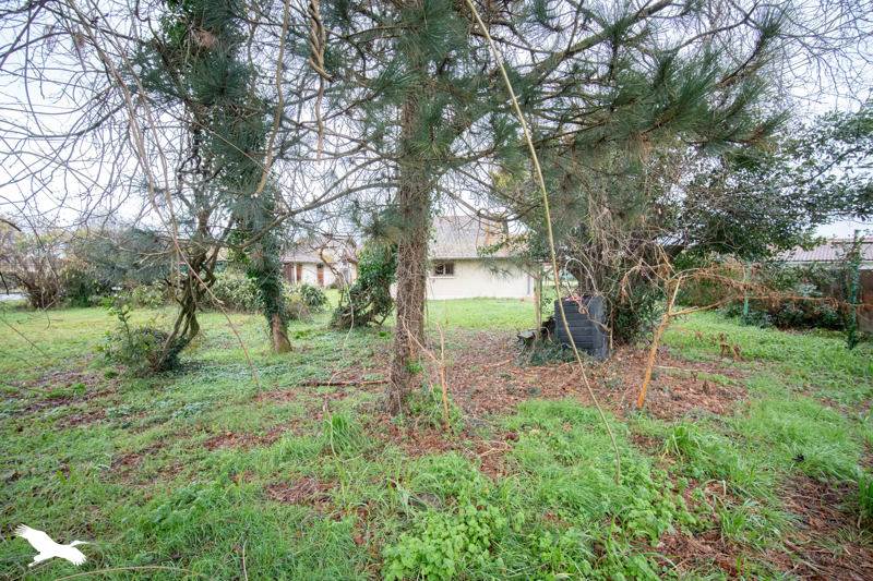 Vente Maison ST JULIEN EN BORN - 5 pièces -96 m² - (40170)