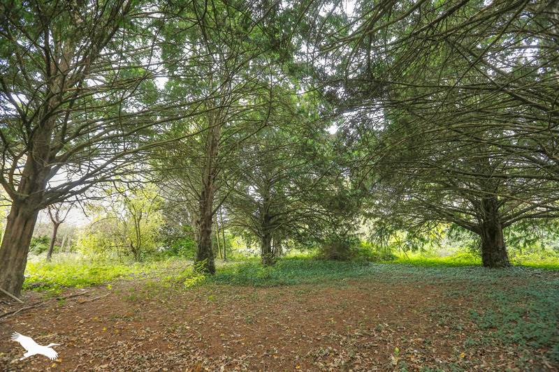 Vente Maison SAVIGNE SUR LATHAN - 8 pièces -280 m² - (37340)