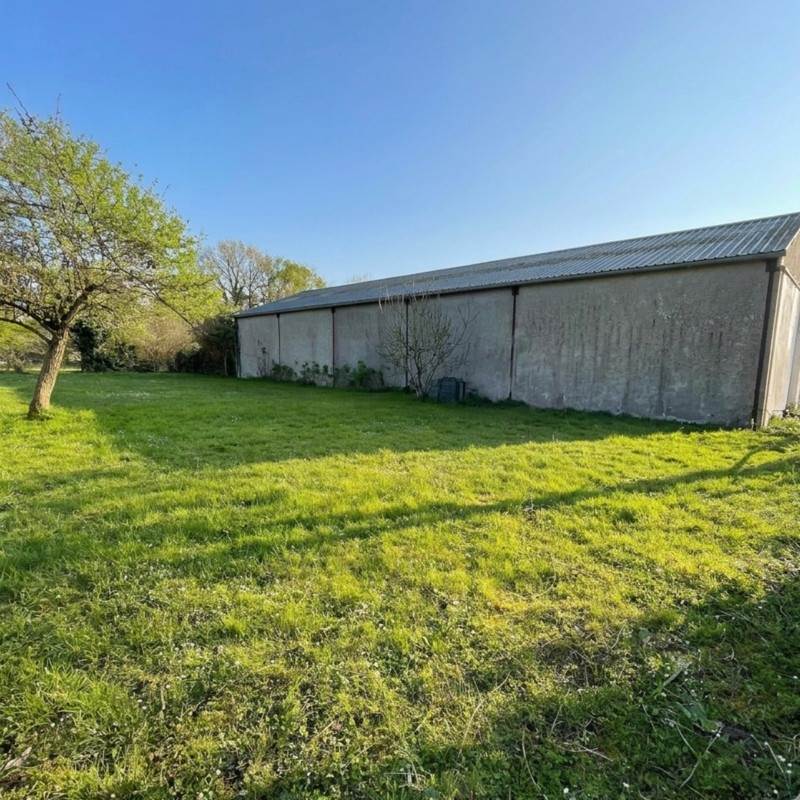 Vente Terrain AMBILLOU - -450 m² - (37340)
