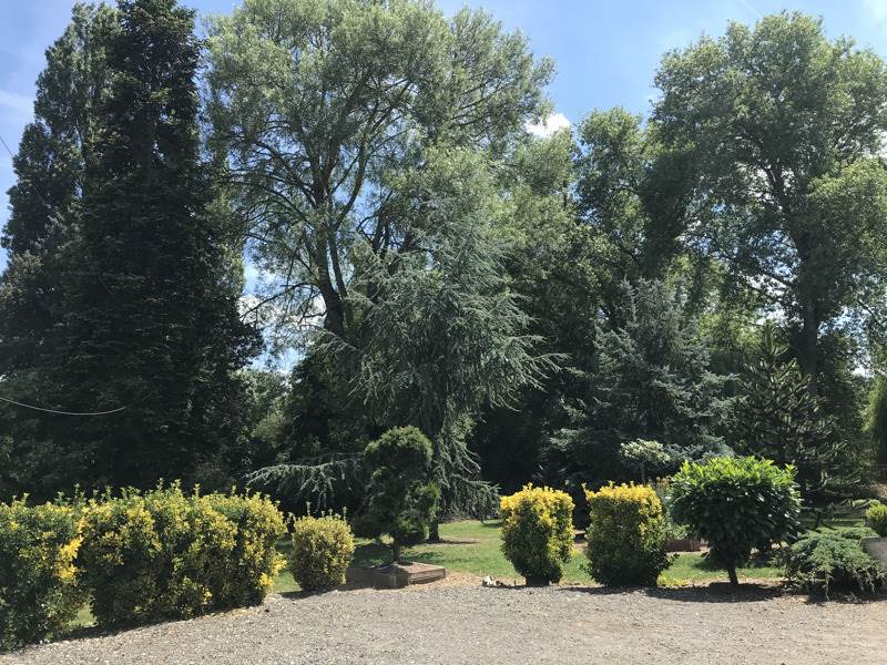 Vente Maison AZAY SUR CHER - 4 pièces -104 m² - (37270)