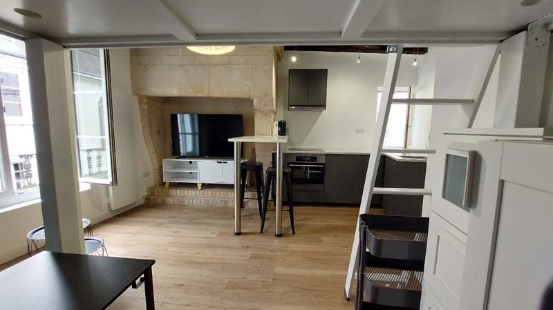 Vente Appartement TOURS - 1 pièce -21,5 m² - (37000)