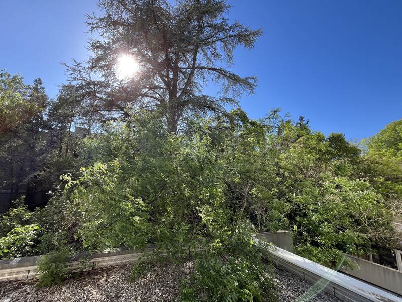 Vente Appartement CASTELNAU LE LEZ - 1 pièce -23,3 m² - (34170)
