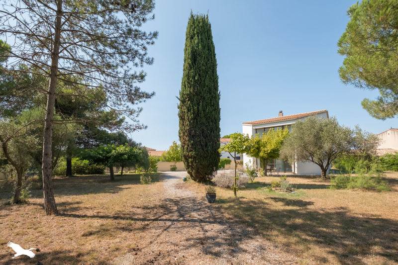 Vente Maison ST JEAN DE VEDAS - 5 pièces -148 m² - (34430)
