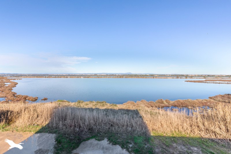 Vente Appartement PALAVAS LES FLOTS - 3 pièces -46 m² - (34250)