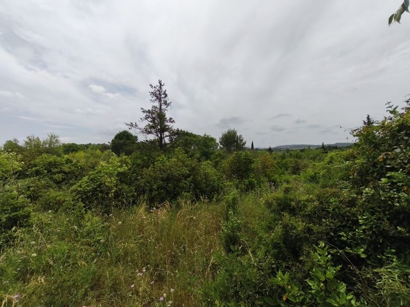Vente Terrain Saint-Georges-d'Orques - -3690 m² - (34680)