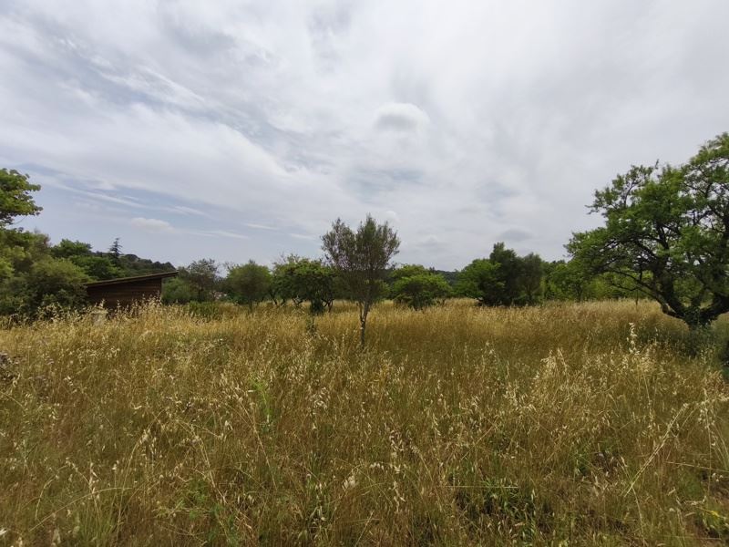 Vente Terrain Saint-Georges-d'Orques - -3690 m² - (34680)