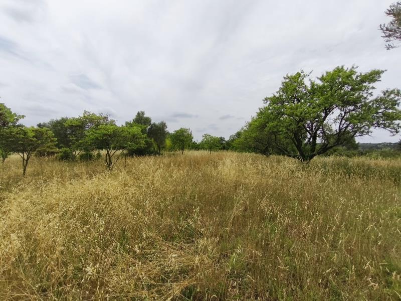 Vente Terrain Saint-Georges-d'Orques - -3690 m² - (34680)