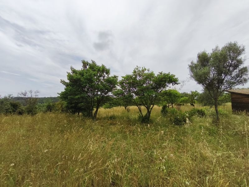 Terrain 690 m² · à Saint-Georges-d'Orques · 690 m² · 196 500 €