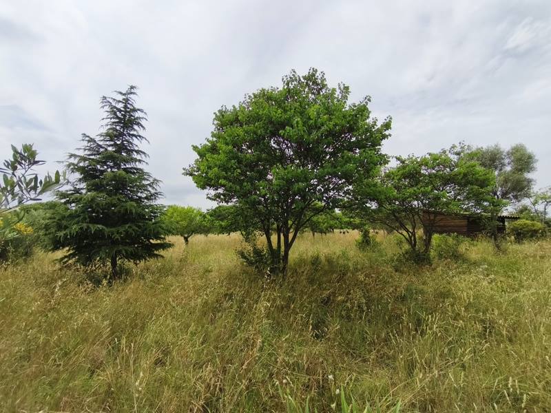 Vente Terrain Saint-Georges-d'Orques - -3690 m² - (34680)