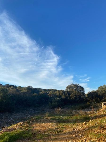 Vente Terrain ARGELLIERS - -1300 m² - (34380)