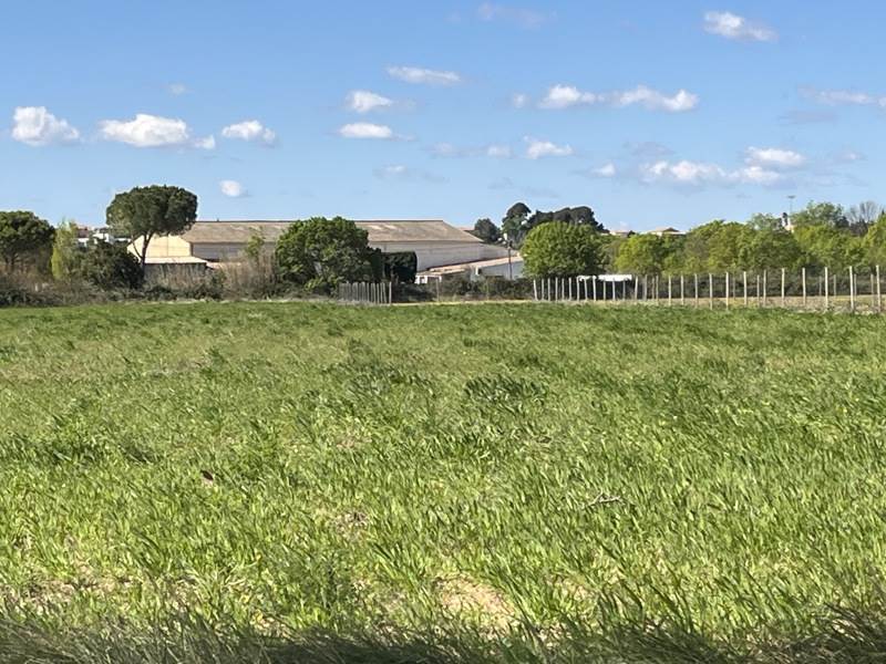 Vente Terrain MEZE - -11871 m² - (34140)