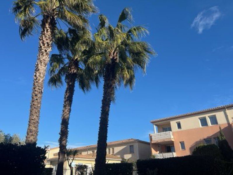 Vente Appartement MEZE - 2 pièces -43 m² - (34140)