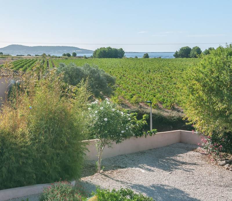 Vente Maison LOUPIAN - 5 pièces -145 m² - (34140)