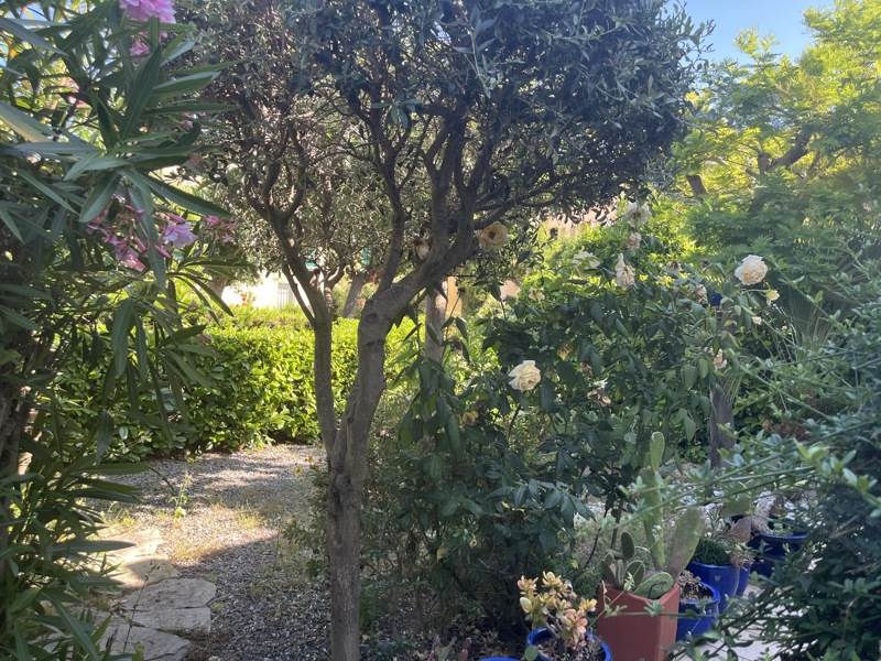 Vente Appartement MEZE - 2 pièces -26 m² - (34140)