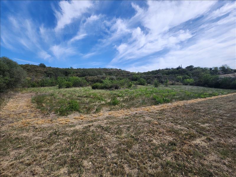 Vente Terrain ROUJAN - -4250 m² - (34320)