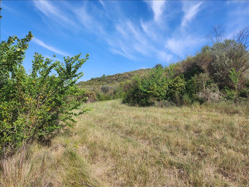 Vente Terrain ROUJAN - -4250 m² - (34320)
