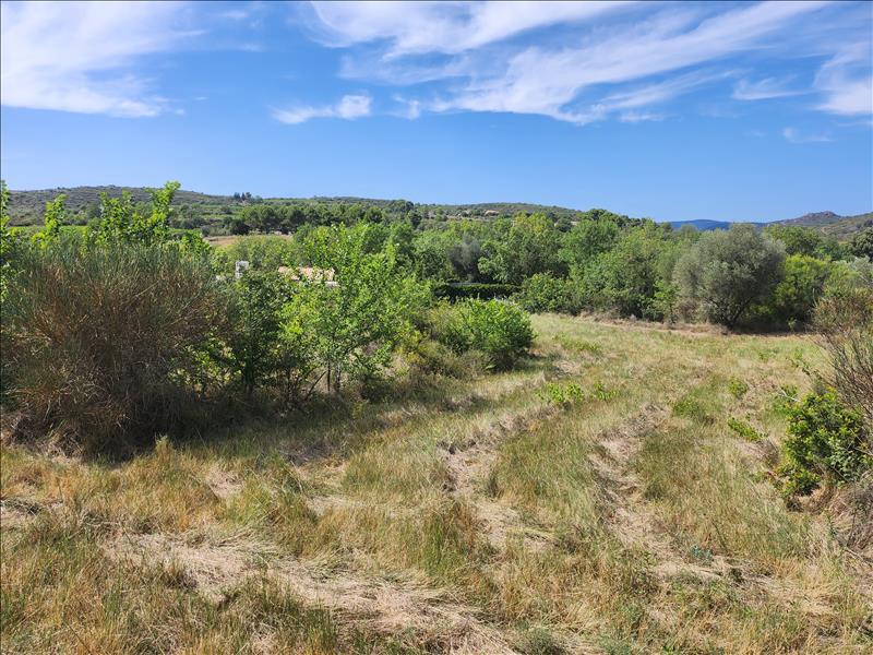 Vente Terrain ROUJAN - -4250 m² - (34320)