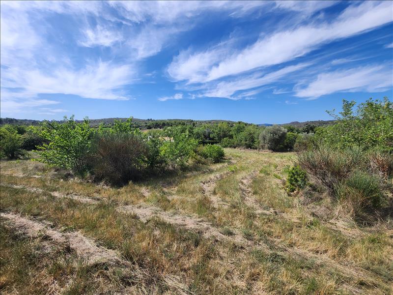 Vente Terrain ROUJAN - -4250 m² - (34320)