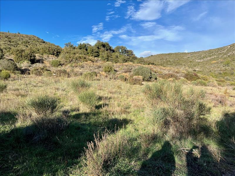 Vente Terrain VAILHAN - -34044 m² - (34320)