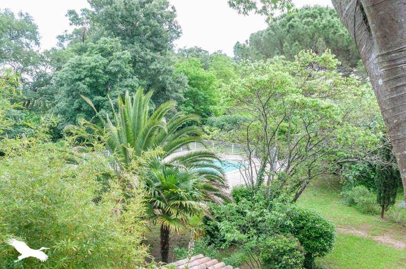 Vente Appartement ALIGNAN DU VENT - 3 pièces -67 m² - (34290)