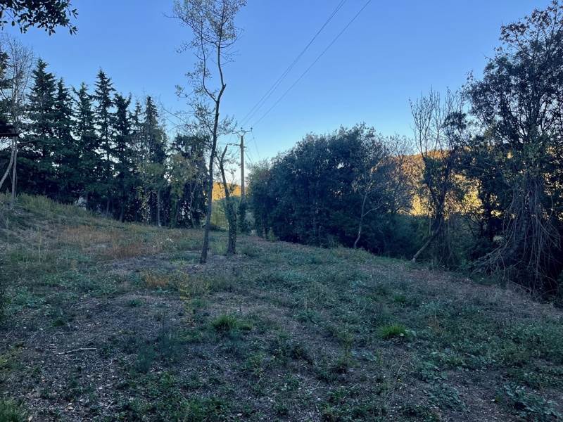 Vente Terrain ROQUESSELS - -1330 m² - (34320)