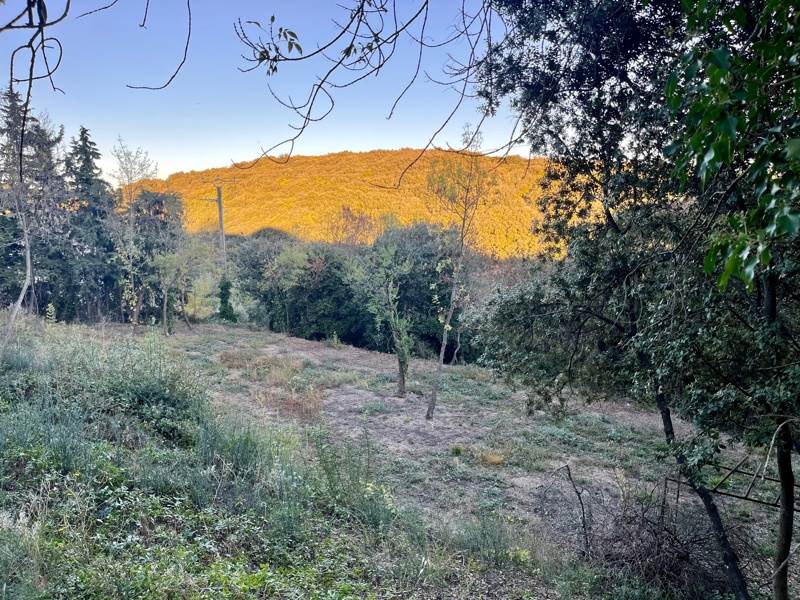 Vente Terrain ROQUESSELS - -1330 m² - (34320)