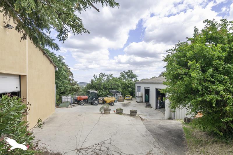 Vente Maison ROQUESSELS - - - (34320)