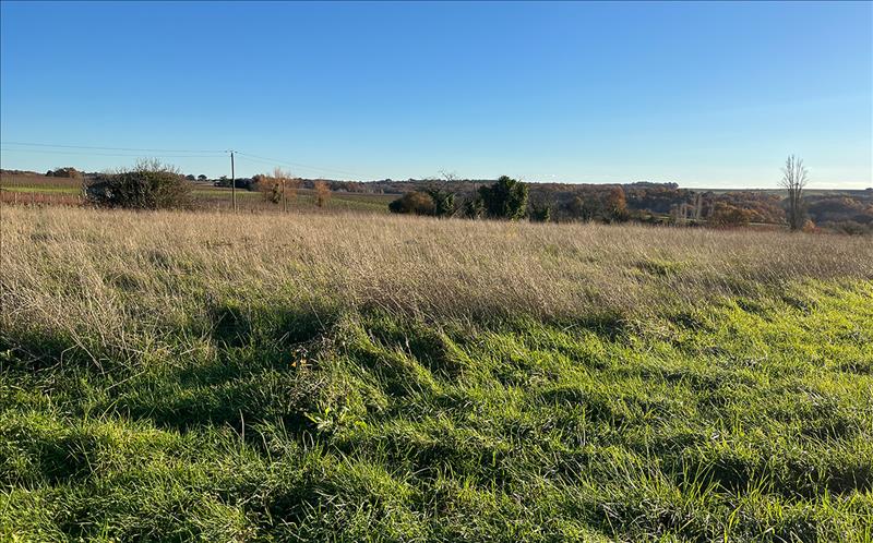 Vente Terrain PELLEGRUE - -1039 m² - (33790)