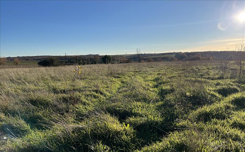 Vente Terrain PELLEGRUE - -780 m² - (33790)