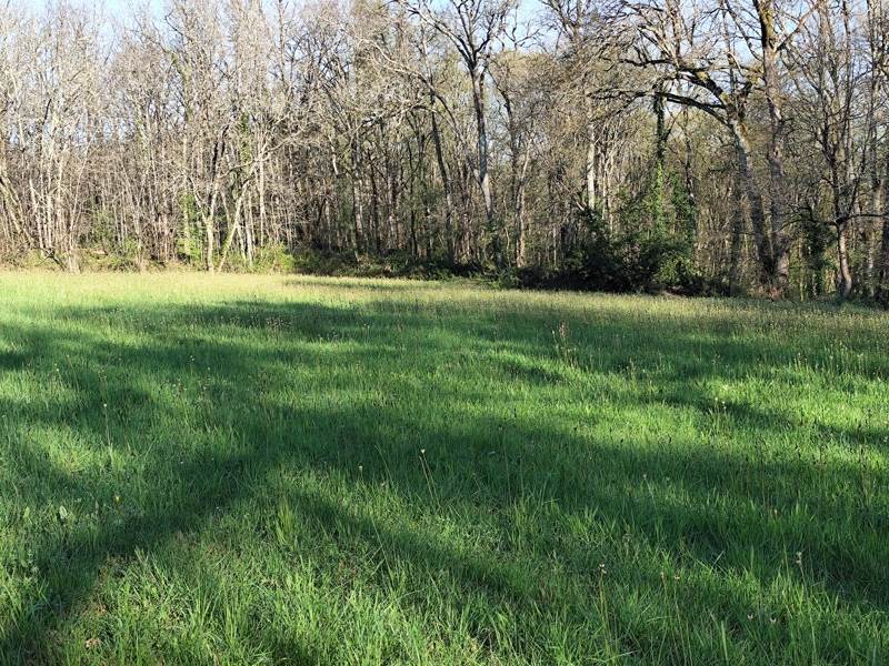 Vente Terrain SAVIGNAC DE DURAS - -2870 m² - (47120)