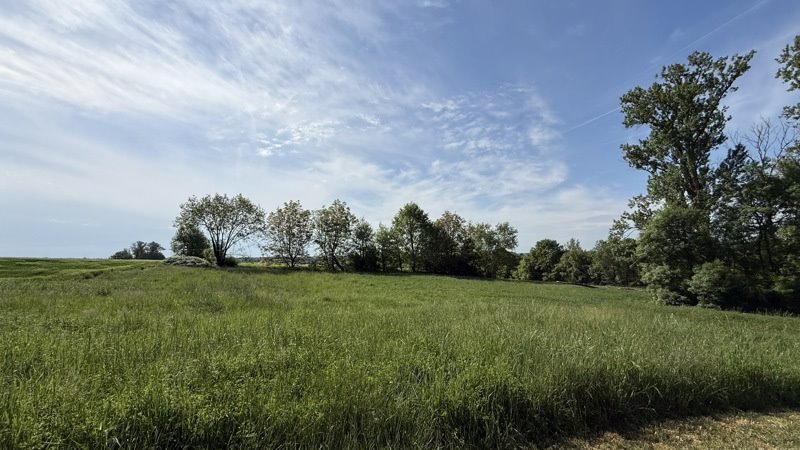 Vente Maison ST COLOMB DE LAUZUN - 4 pièces -55 m² - (47410)