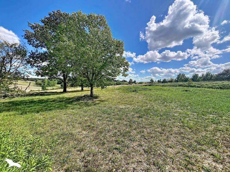 Vente Maison Armillac - 5 pièces -124 m² - (47800)