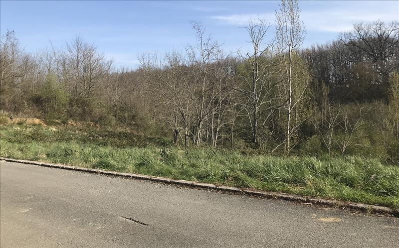 Vente Terrain GRAZAC - -726 m² - (31190)