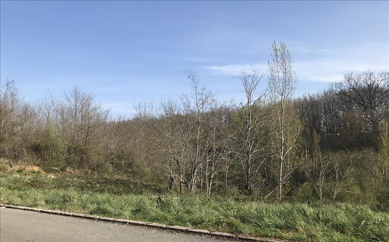 Vente Terrain GRAZAC - -973 m² - (31190)