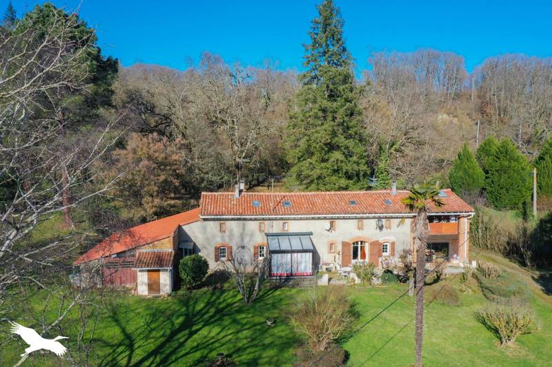 Vente Maison MAURESSAC - 9 pièces -289 m² - (31190)