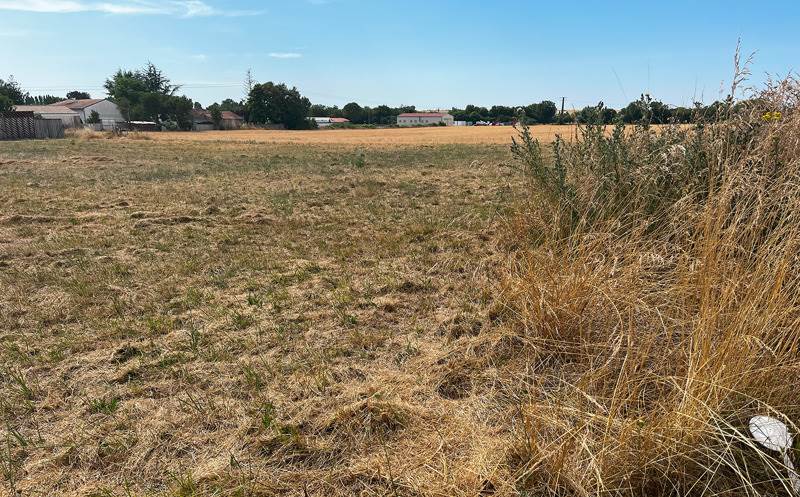 Vente Terrain LANDES - -714 m² - (17380)