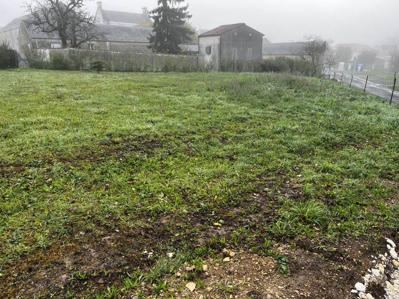 Vente Terrain ASNIERES LA GIRAUD - -916 m² - (17400)