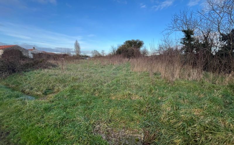 Vente Terrain LOZAY - -1390 m² - (17330)
