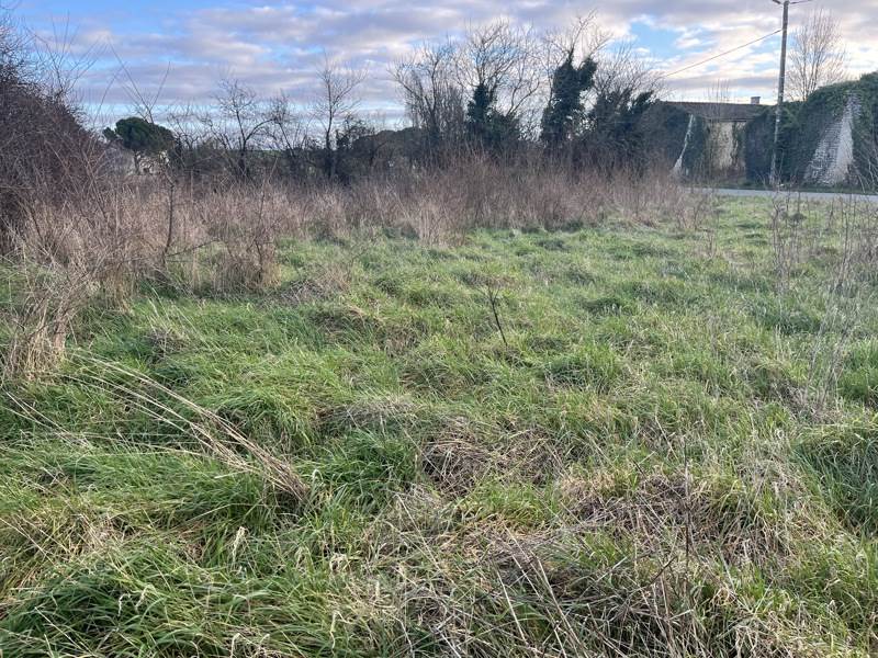 Vente Terrain LOZAY - -1390 m² - (17330)