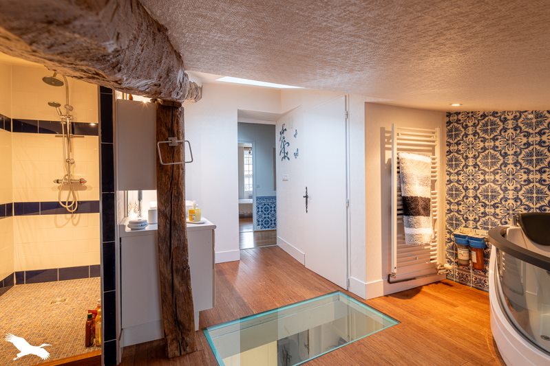 Vente Maison ASNIERES LA GIRAUD - 9 pièces -223 m² - (17400)