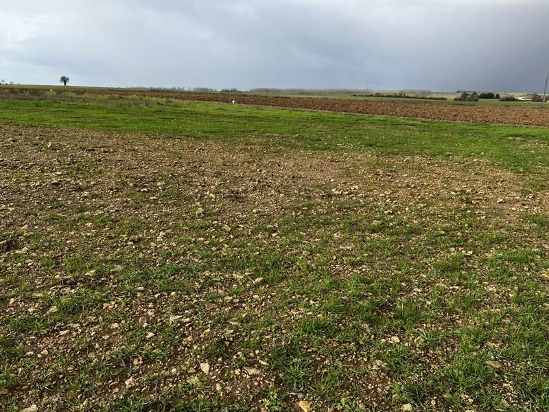 Vente Terrain VERVANT - -755 m² - (17400)