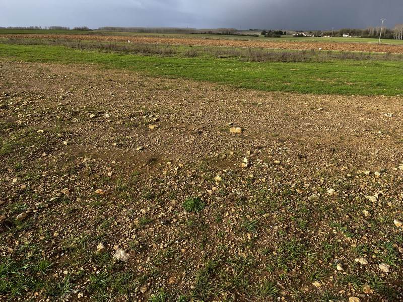 Vente Terrain VERVANT - -788 m² - (17400)