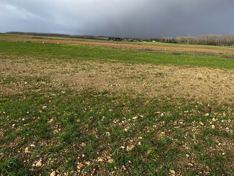 Vente Terrain VERVANT - -827 m² - (17400)